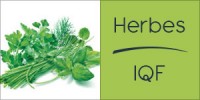 Darégal - Industrie - Herbes IQF Aromatiques
