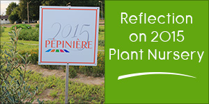 Reflection on Darégal’s 2015 Plant Nursery