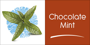 The Chocolate Mint